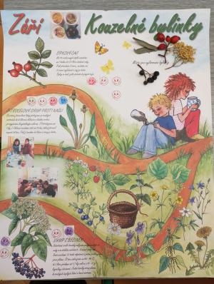 Měsíc září patřil bylinkám.